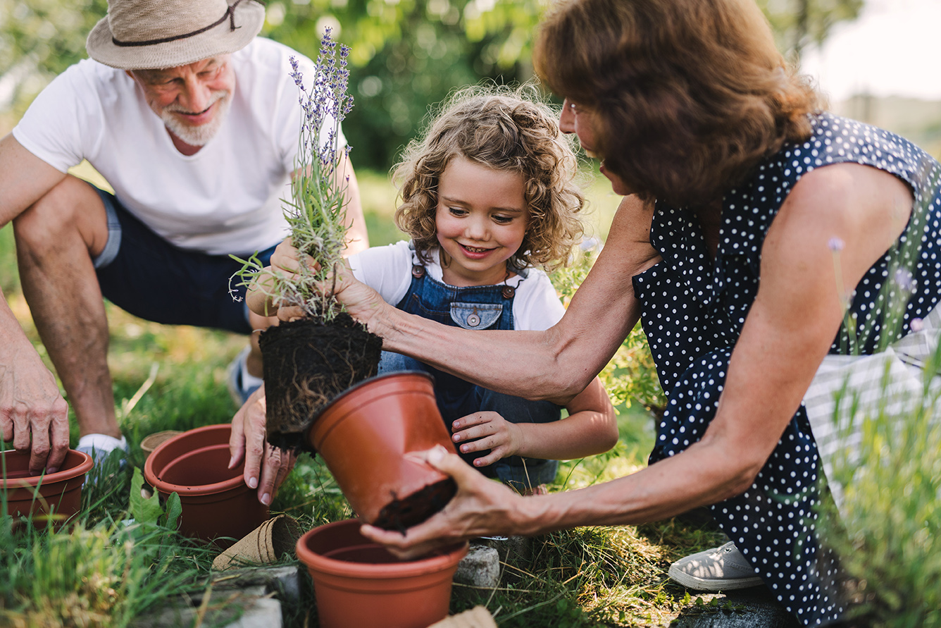 Financial Estate and Legacy Planning Services | Creme Wealth
